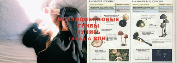 кокаин колумбия Алексин