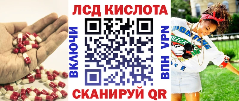 ЛСД экстази ecstasy  kraken tor  Новозыбков 